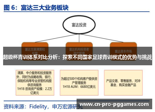 超级杯青训体系对比分析：探索不同国家足球青训模式的优势与挑战