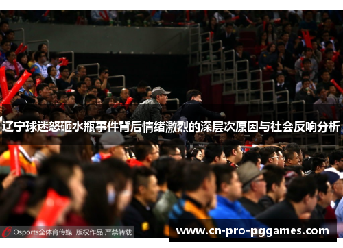 辽宁球迷怒砸水瓶事件背后情绪激烈的深层次原因与社会反响分析