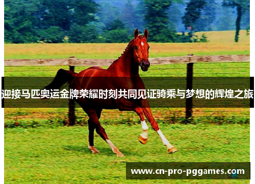迎接马匹奥运金牌荣耀时刻共同见证骑乘与梦想的辉煌之旅 迎接马匹奥运金牌荣耀时刻共同见证骑乘与梦想的辉煌之旅