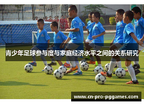 青少年足球参与度与家庭经济水平之间的关系研究